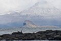 wikimedia_commons=File:2020-11 Kerguelen Islands - Le Pouce 01.jpg