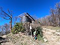 wikimedia_commons=File:20230311-filoncino-028.jpg