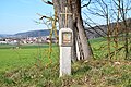 wikimedia_commons=File:Arme-Seelen-Bildstock (Dietfurt).jpg