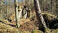 wikimedia_commons=File:Correria certosa Montebenedetto.jpg