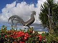 wikimedia_commons=File:Gallodemoron.jpg