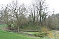 image=File:Hoeselt De Mot.jpg