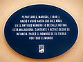 wikimedia_commons=File:Málaga Hace Historia, Marisol 01.jpg