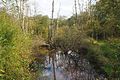 wikimedia_commons=File:Marais_dits_du_landbrough.jpg