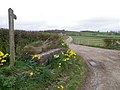 wikimedia_commons=File:Milk churn stand, Greenless Lane - geograph.org.uk - 2537793.jpg