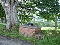 wikimedia_commons=File:Milk stand at Ty'n-y-fron - geograph.org.uk - 490078.jpg