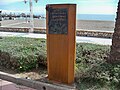 wikimedia_commons=File:Paseo de la Fama de Málaga, Blanca Portillo.jpg