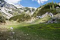 image=https://commons.wikimedia.org/wiki/File:Planina_jezerce_1.jpg