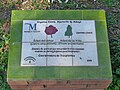 wikimedia_commons=File:Plaque to Organ Donation for Transplantation 01.jpg
