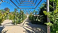 wikimedia_commons=File:Potsdam Sanssouci-HolländischerGarten-Laubengang-O 20220903 110536.jpg