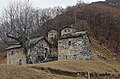 wikimedia_commons=File:Tampiglia.jpg
