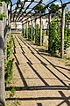 wikimedia_commons=File:Sanssouci - Parkanlage - Holländischer Garten - DSC4434.jpg