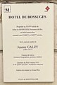 wikimedia_commons=File:Plaque Jeanne Galzy à Montpellier.jpg