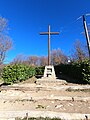 wikimedia_commons=File:20230311-filoncino-016.jpg