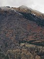 wikimedia_commons=File:Sentiero delle Quattro Valli between Tampiglia and Alpe Varoo 10.jpg